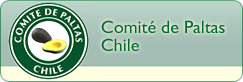 Comité de Paltas 