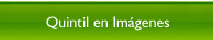 Quintil en Imágenes