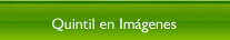 Quintil en Imágenes