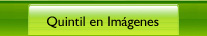 Quintil en Imágenes